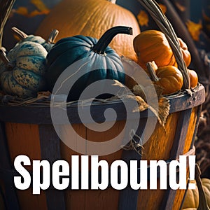 Composite of spellbound text and halloween pumpkins in basket photo