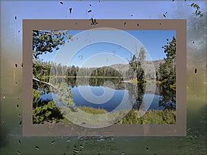 Composite wet mist leaf tree frame with Sylvan Lake reflection in Yellowstone Park.