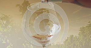 Composite of white wine being poured into glass over vineyard background