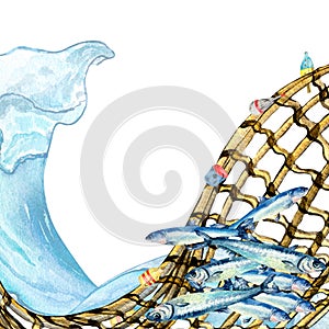 Composition of anchovies and fishnet watercolor illustration isolated on white.