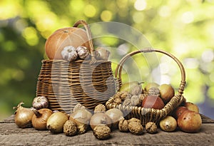 Composition With autumn harvests arranged on old boards. Blurred colorful background. Two baskets with fruits and vegetables.