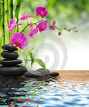 Composition bamboo-purple orchid-black stones