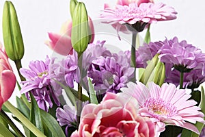 Composition with beautiful blooming Tulips and Barberton Daisy Gerbera jamesonii flowers on white background , pink colors