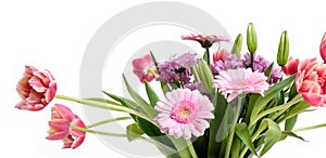 Composition with beautiful blooming Tulips and Barberton Daisy Gerbera jamesonii flowers on white background , pink colors