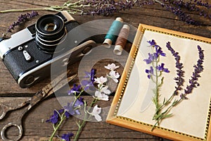 Composition with beautiful dried flowers, vintage camera and photo frame on table