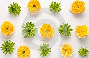 Composition of beautiful green succulent plants and yellow garden roses on light background. Top view, copy space