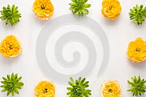 Composition of beautiful green succulent plants and yellow garden roses on light background. Top view, copy space