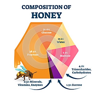 Composition of bee honey vector illustration. Labeled food structure scheme