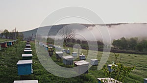 Composition of beehives located next to an orchard and a lake where you can see the water vapor rising due to the