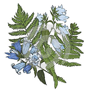 Composition of bell flowers with fern leaves