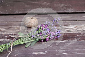 Composition of Betonica officinalis, common names betony, purple betony, isolated on wooden background. Top view