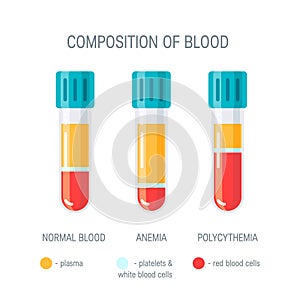 Composition of blood concept, flat vector concept