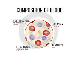 Composition of blood. Red blood cells, lymphocytes, platelets and plasma.