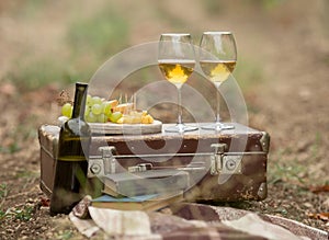 composition with a bottle and glasses of white wine