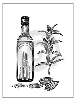 Composition with a bottle of sesame oil and a sprig with leaves, sesame seeds.