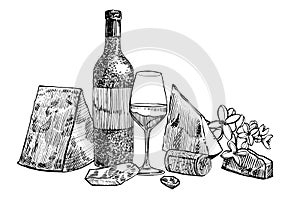 Composition of a bottle of wine, two glasses, parmesan cheese, grapes and leaves with olives. Hand drawn engraving style