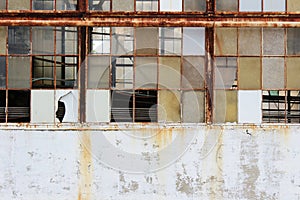 Composition of broken windows