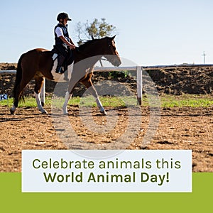 Composition of celebrate animals this world animal day text over biracial boy riding horse