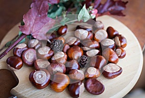 A composition of chestnuts and cone and leaves