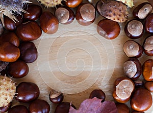 A composition of chestnuts and cone and leaves
