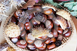 A composition of chestnuts and cone and leaves