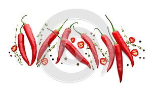 Composition with chili peppers, herbs and spices on white background