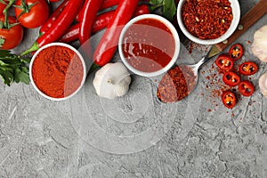 Composition with chilli pepper powder spice, garlic and sauce on gray background