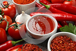 Composition with chilli pepper powder spice, garlic and sauce on gray background