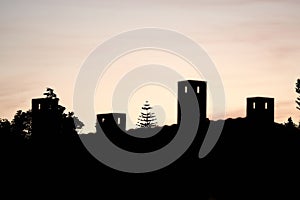 Composition of chimneys with a stone pine in the center, photo in black and white