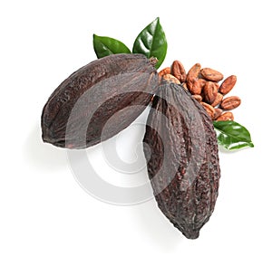 Composition with cocoa pods on white background