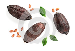 Composition with cocoa pods on white background