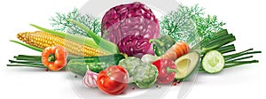 Composition of colorful vegetables decorated with herbs. Mesh vector