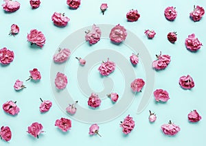 Composition of coral, pink flowers, roses on a blue background