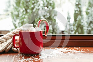 Composition of cozy winter day on wooden windowsill