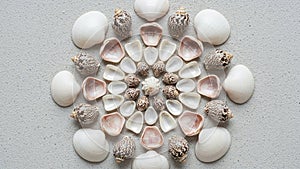 Composition creates a harmonious and visually pleasing mandala