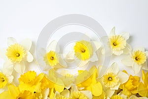Composition with daffodils on white, top view. Fresh spring flowers