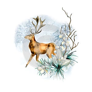 Composition of deer and winter forest watercolor illustration isolated on white.