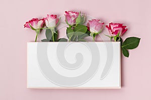 Composition with delicate pink rose flowers and blank paper on a pastel pink background