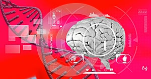 Composition of dna strand, brain and medical data processing on red background