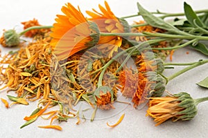 Composition of dried calendula herbs and flowers