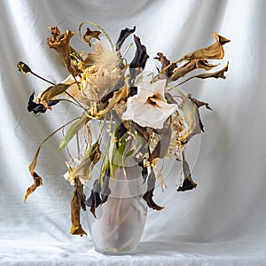 composition of dry flowers in a vase, white fabric background, still life