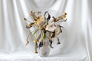 composition of dry flowers in a vase, white fabric background, still life