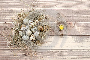 Composition of eggs in a nest of straw and rope