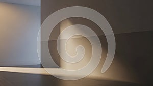 Composition emphasizes simplicity and the interplay of light