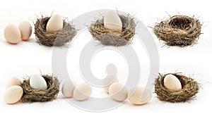 Composition with empty nest and big eggs inside the small nests.