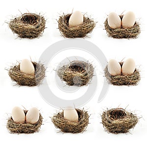 Composition with empty nest and big eggs inside the small nests.