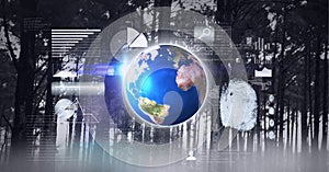 Composition of financial data processing over globe and forest in background