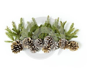 Composition with fir tree branch and cones isolated on white background. Elements for Christmas greeting card. Holiday decorations