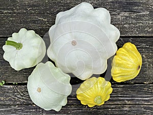 Composition of five squash on a wooden background. Still life of patissons