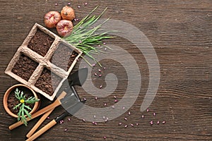 Composition with flower bulbs and gardening tools on wooden background